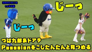 つば九郎＆ドアラ　Passsionを『こしたんたん』と見つめる！？　2023/5/14 vs中日