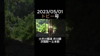 トビー号 大井川鐡道 井川線 沢間駅～土本駅 2023/05/01