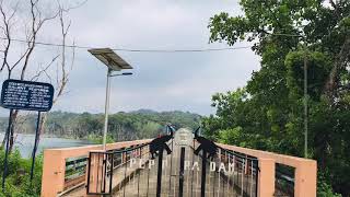 Peppara Dam തിരുവനന്തപുരം പേപ്പാറ ഡാമിന്റെ അതിമനോഹരമായ കാഴ്ച