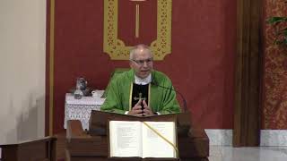 Fourth Sunday in Ordinary Time (Year C) - Fr. Hahn