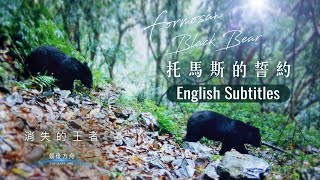 Vanishing Kings : The Last Ark_Ep2 Commitments to Formosan Black Bear_English Subtitles｜聚焦全世界｜舒夢蘭