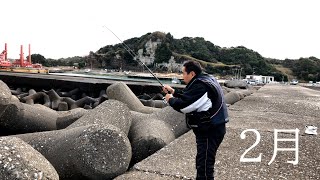 【千葉県】【さびき釣り】太東から勝浦漁港まで釣行