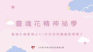 【靈魂花精愛情占卜-今年你有機會脫單嗎？】心宇愛-幸福引航家smile spirit