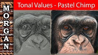 Pastel Chimpanzee Tonal Values