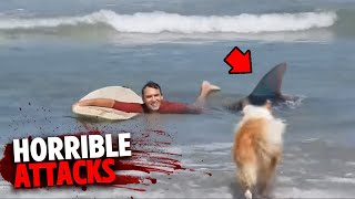 The Most HORRIFYING Shark Attacks MARATHON!