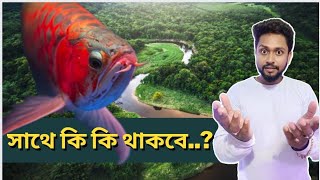 আপনার Arowana মাছের সাথে আর কি মাছ রাখা যায়, আসুন শুনেনি।। #ashokaqua