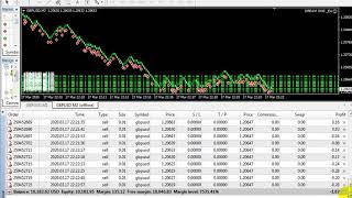 DREAM ONE _Ea _ Using Renko chart _ 20 % daily profit