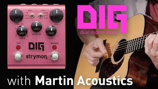 Strymon DIG Dual Delay w/ Martin Acoustics