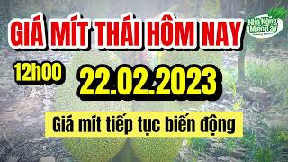 Giá mít thái trưa hôm nay ngày 22.02.2023