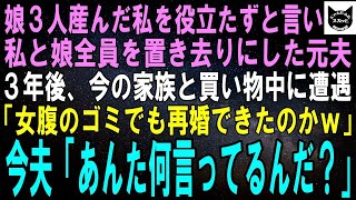 【スカッとする話】女の子を３人産んだ私と娘を捨てた夫「跡取り息子も産めない役立たずめ！」離婚３年後、偶然遭遇した元夫「女腹のゴミでも再婚できたのかよｗ」今夫「あんた何言ってるんだ？」実は…