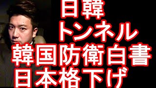 【日韓関係悪化】日韓トンネル構想と韓国の防衛白書2020で日本を格下げした件に関して！反日が更に？日本国内では嫌韓益々進む？