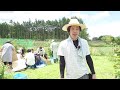 【絶景】田舎でとうもろこし狩りをしてきました