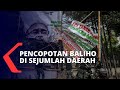 Pencopotan Baliho Rizieq Shihab di Sejumlah Daerah