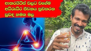 ආතරයිටිස් ක්‍ෂනික සහනයට මේ කොල අඹරල ගාන්න how to prevent arthritis