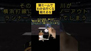 [修正版]猫ミームでわかる「行くな行くな超えるな」 #猫ミーム #プロ野球 #ネコマニア #阪神タイガース #野球 #中日ドラゴンズ