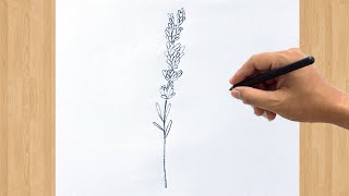 How to Draw Lavender Flower | Easy Step by Step Lavender Drawing Tutorial