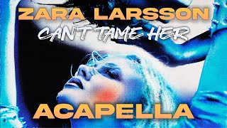 Zara Larsson - Can't Tame Her (Acapella)