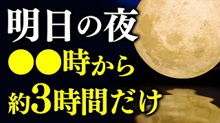 「射手座満月の力」が特に強くなるので是非やってほしいことがあります。【願いが叶う】