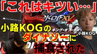 【KOF15】これが投げキャラ使い…小路KOGのダイナソーが強すぎた【ハイタニ】【KOFXV】