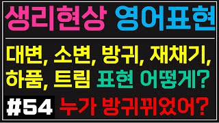 [생리현상 영어표현 정리] 대변, 똥, 오줌, 방귀, 트림, 재채기, 하품 등 생리현상에 관한 영어 단어 및 문장을 알려 드립니다.