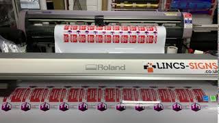 Roland SP-540i print and Mimaki CJV-CX160 contour cut