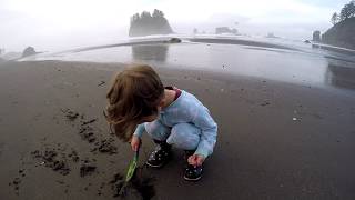 Olympic National Park - Summer Camping