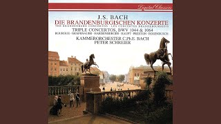 J.S. Bach: Brandenburg Concerto No. 5 in D, BWV 1050: 1. Allegro