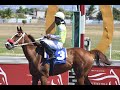 JAMAICA RACING: SMARTY TRADITION WINS THE CAYMANAS (SUN, JAN 15, 2023) 2nd