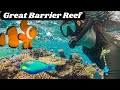 Snorkelling the Great Barrier Reef & Pontoon Tour | Day Trip from Port Douglas