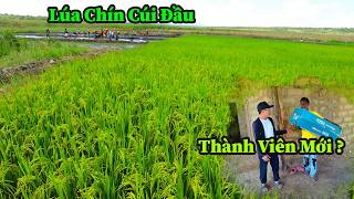 Second Council: If we strive to learn how to cultivate crops, then daily meals will no longer be ...