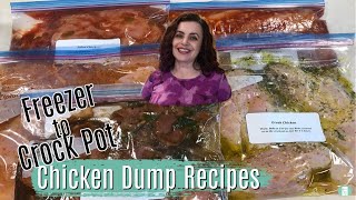 Chicken Dump Recipes - FREEZER TO CROCK POT MEALS