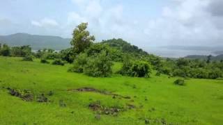 50+ Acres beautiful view property at Tala Taluka