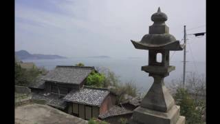 春の高見島