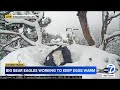 big bear eagles jackie shadow protect their 2 new eggs from snow