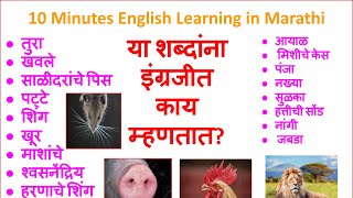 English Vocabulary | प्राणी पक्षी मासे यांचे ठराविक  बॉडी पार्ट्स