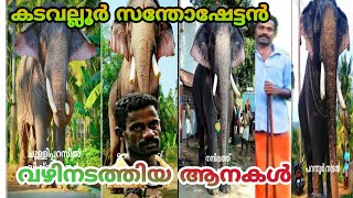 കടവല്ലൂർ സന്തോഷേട്ടൻ വഴിനടത്തിയ ആനകൾ(kadavalloor santhoshettan vazhinadathiya aanakal)(#കടവല്ലൂർ)