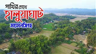 হালুয়াঘাট উপজেলা | ময়মনসিংহ 🇧🇩