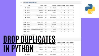 Deduplicate your Python Data in 30 seconds