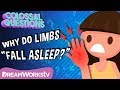 Why Do Body Parts “Fall Asleep”? | COLOSSAL QUESTIONS