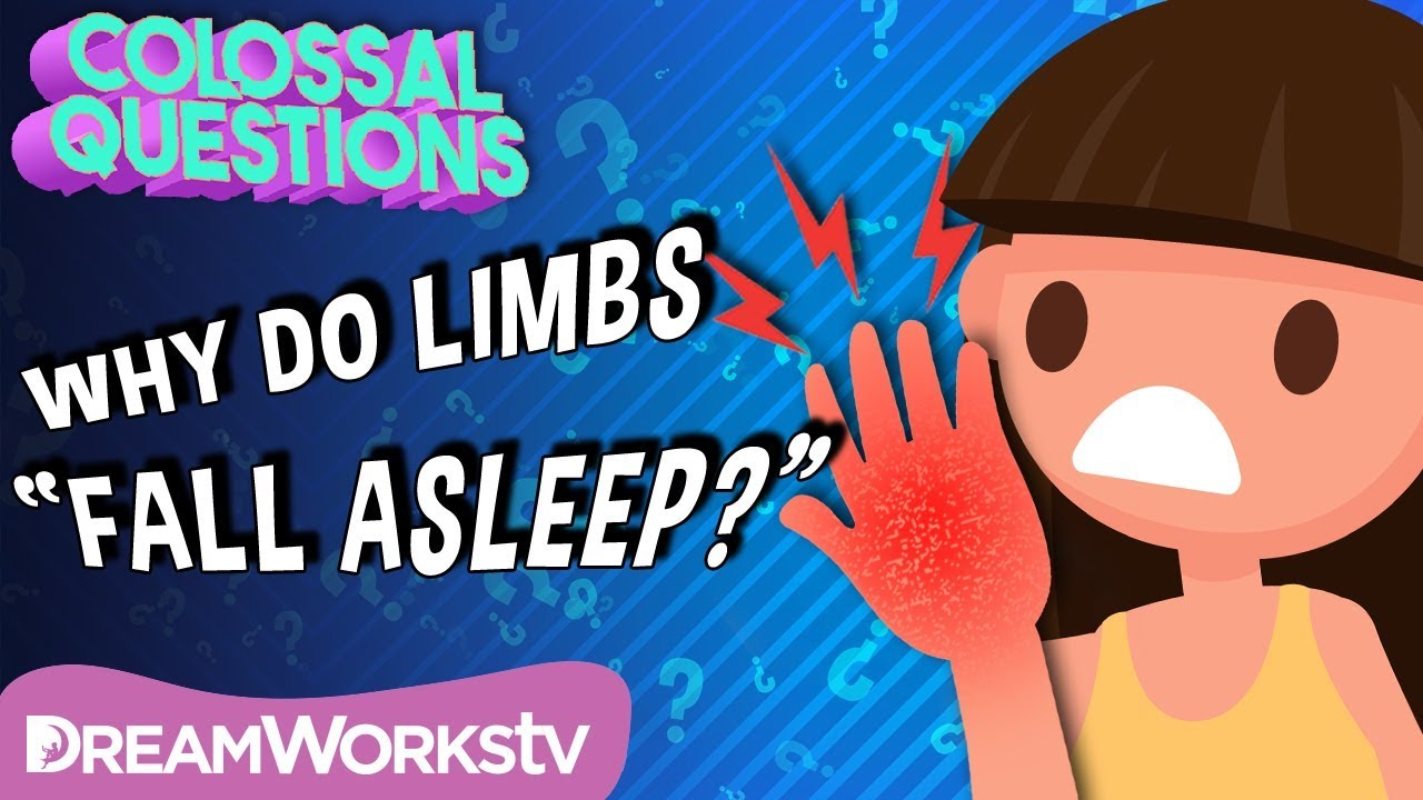 Dreamworks Super Star Kartz Why Do Body Parts “Fall Asleep”? | COLOSSAL ...