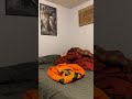 gemmy 3ft pumpkin inflatable