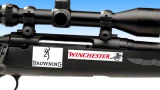 Sportsmans Warehouse Spec Spot