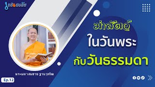 ฆ่าสัตว์วันพระกับวันธรรมดา | คลิปไขข้อสงสัย ep.12 | 29-09-66 | ThanavuddhostryOfficial