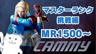 玄人スト6  キャミィに年末年始の休みはない MR1500に戻るまで