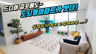 [김포아파트] 구래역인근 실평수30평 도시형아파트! 기다리고 기다리던!! 너의아파트~!