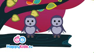 Two Little Owls | Nursery Rhymes | Happy Kids | MollyShow