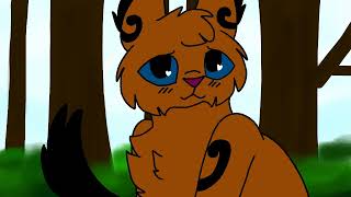 Maggot belly fake map part (warrior cats ocs)