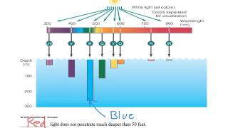 Day 111 Physics - Color (Light) Part 2