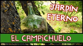 Como hacer un jardín eterno