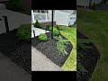 black mulch install landscape landscaping mulching